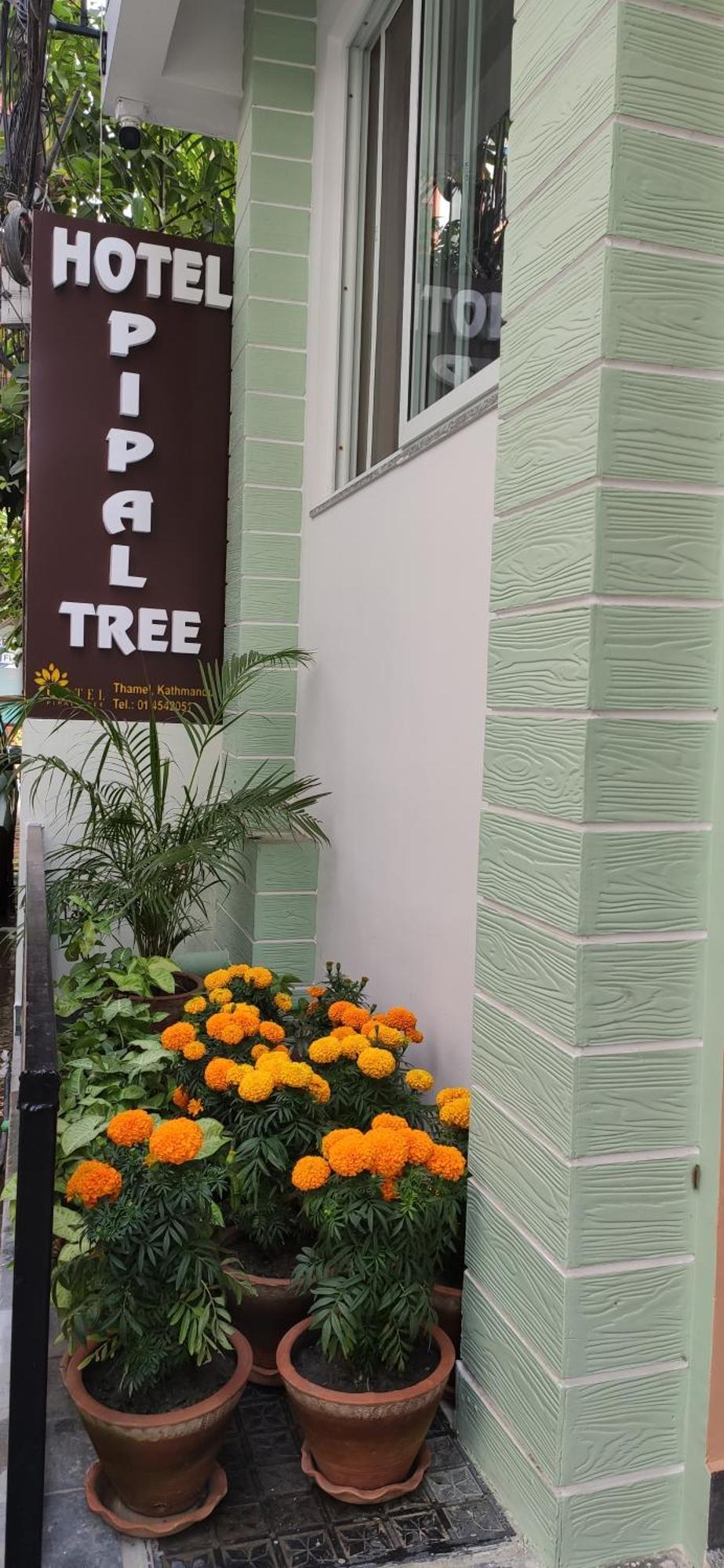 קטמנדו Hotel Pipal Tree מראה חיצוני תמונה